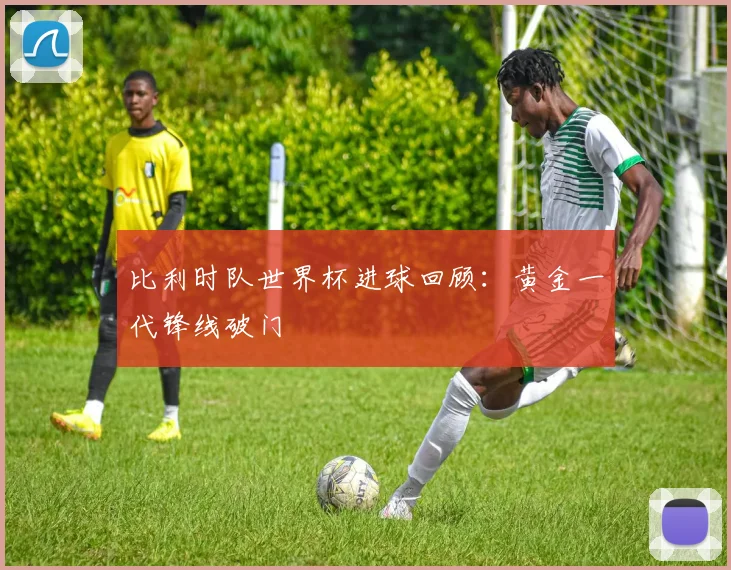 比利时队世界杯进球回顾：黄金一代锋线破门